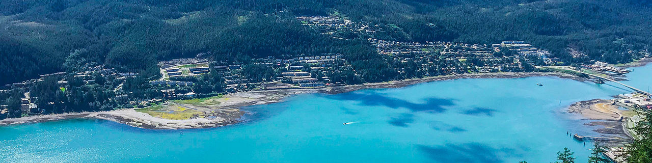Alaska Juneau Mountain Roberts Trail 