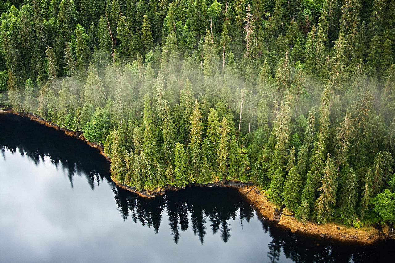 Alaska, Tongass National Forest