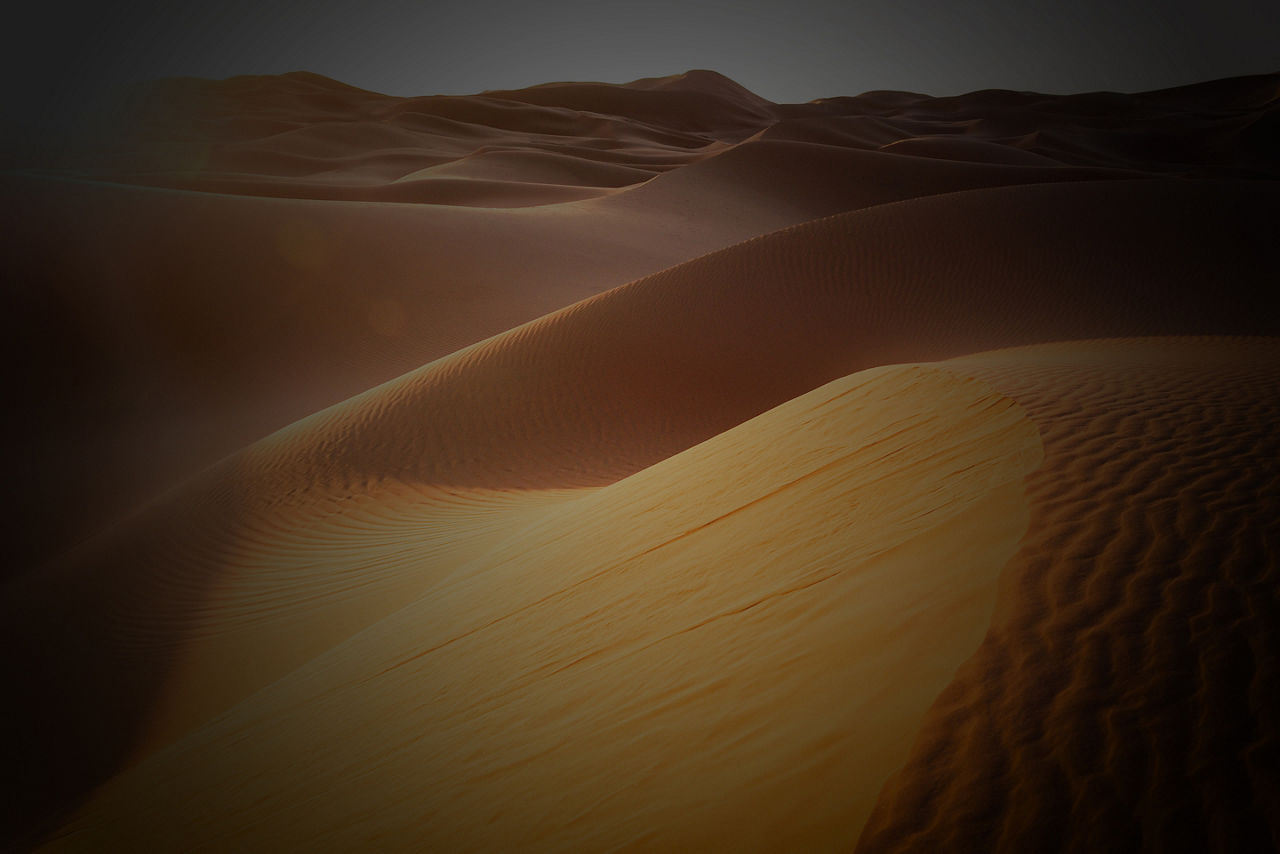 Sahara Desert Sand Dunes 