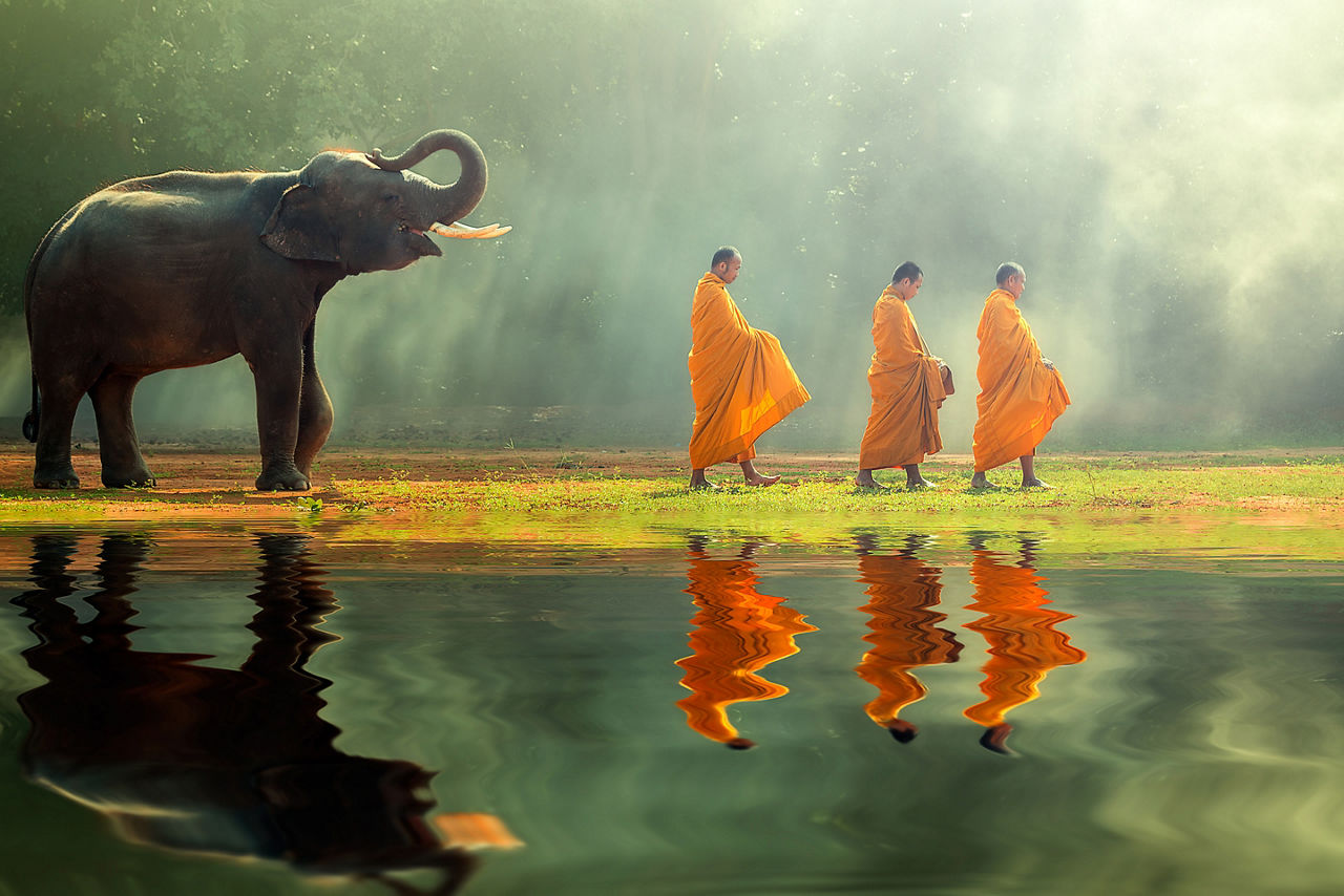 Elephant with three monks.