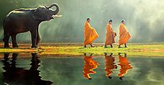 Elephant with three monks.