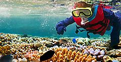 Tourist snorkeling in a shallow reef. Australia.