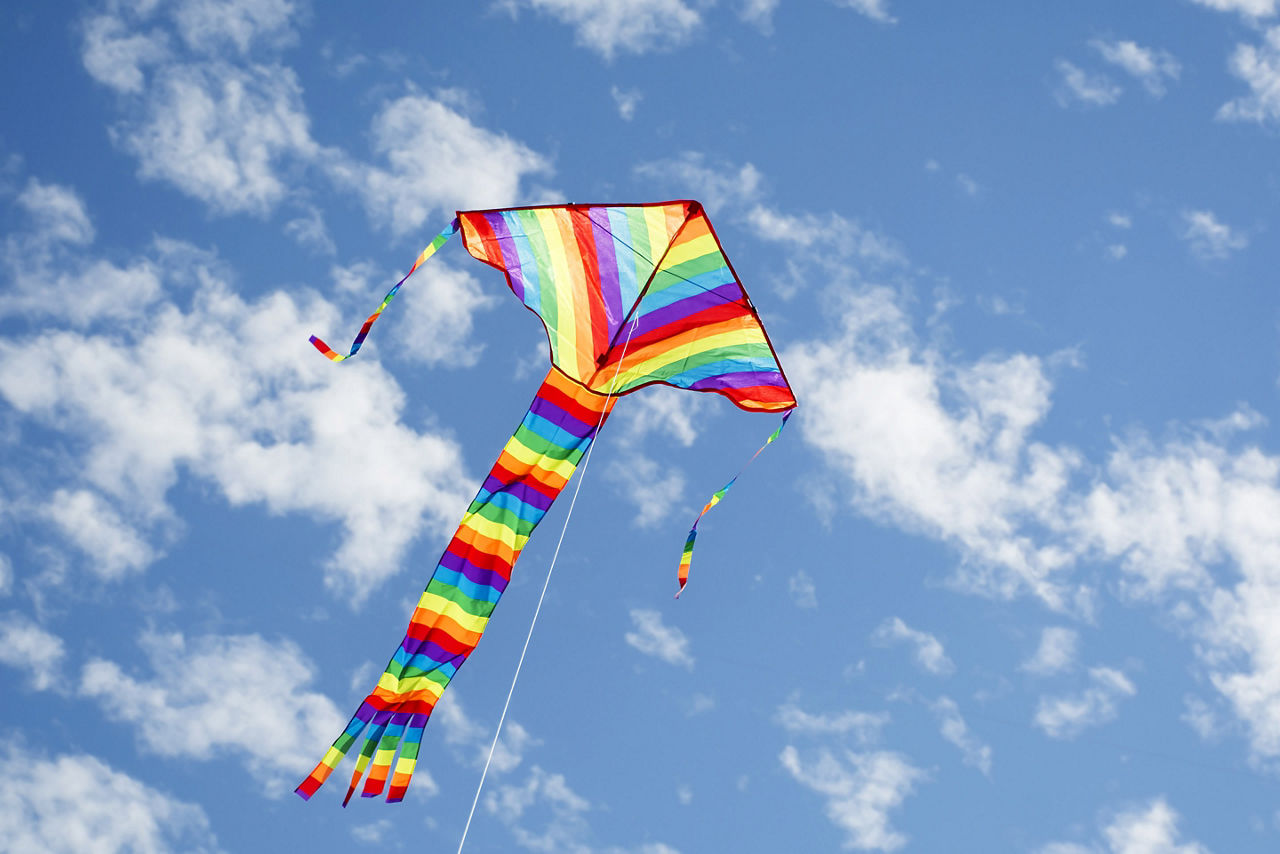 Kite flying high in the Australian sky. Australia