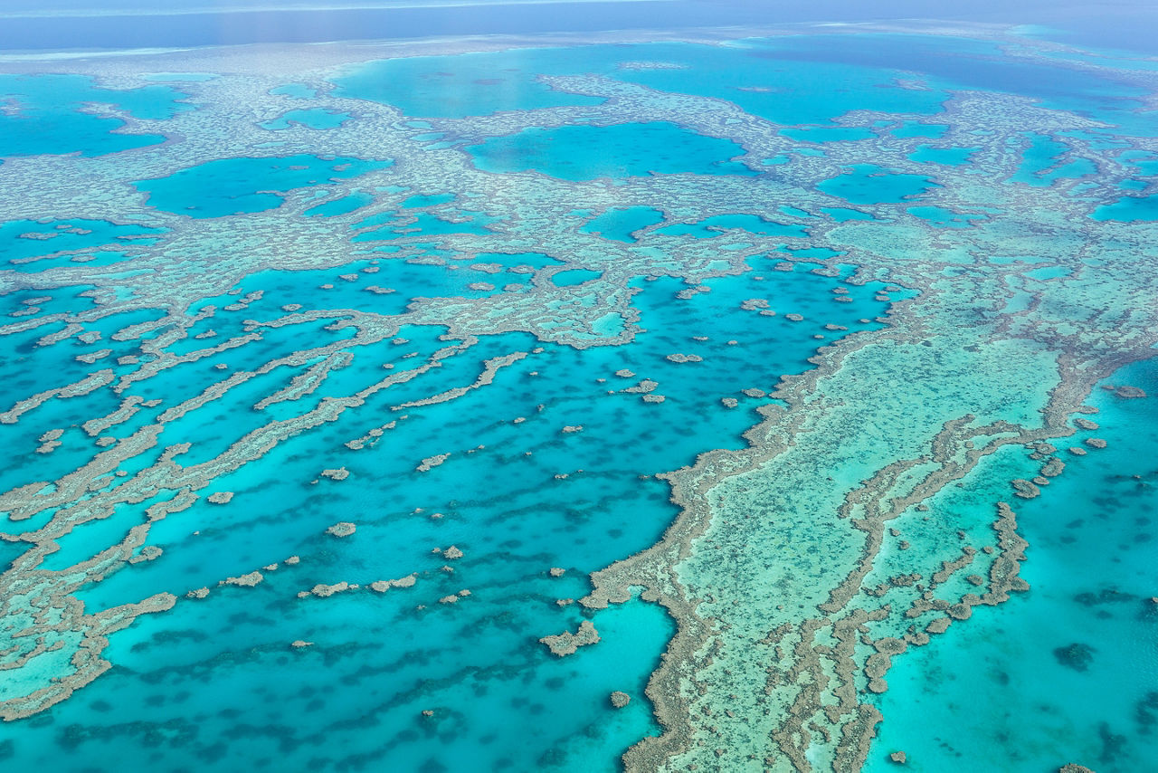The Great Barrier Reef is a breathtaking sight