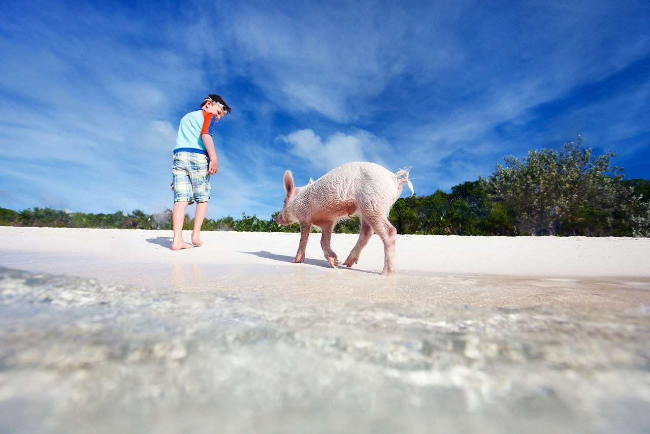 Bahamas Exuma Boy with Swimming a Piglet