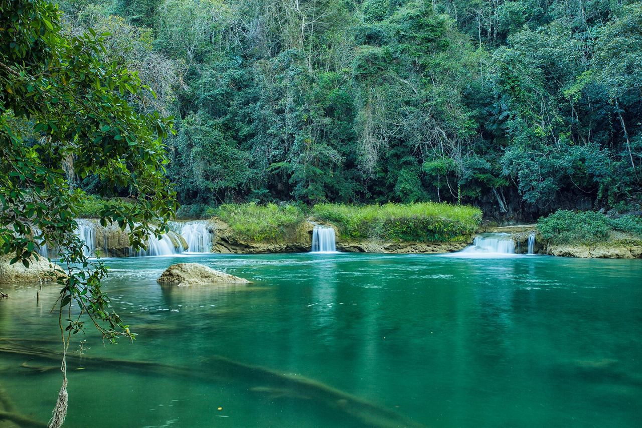 Jungle Waterfalls in Belize