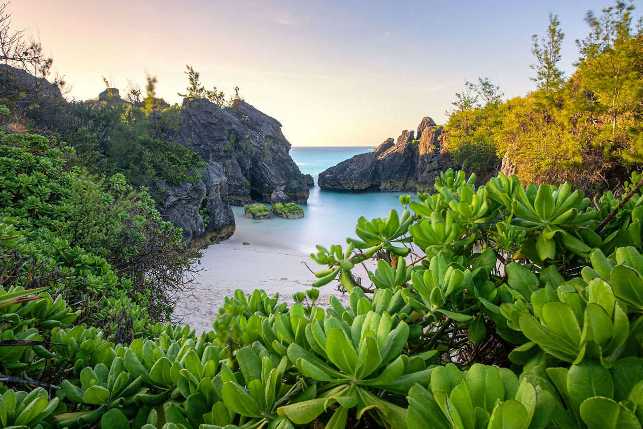 Morning Light Starts to Light up the Sky, Jobsons Cove, Bermuda