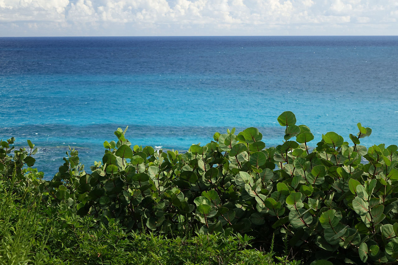 Scenic view on the Atlantic Ocean, West Whale Bay, Bermuda