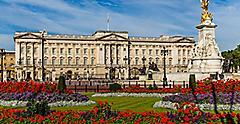 View of Buckingham Palace in the UK with red flowers in the UK. London