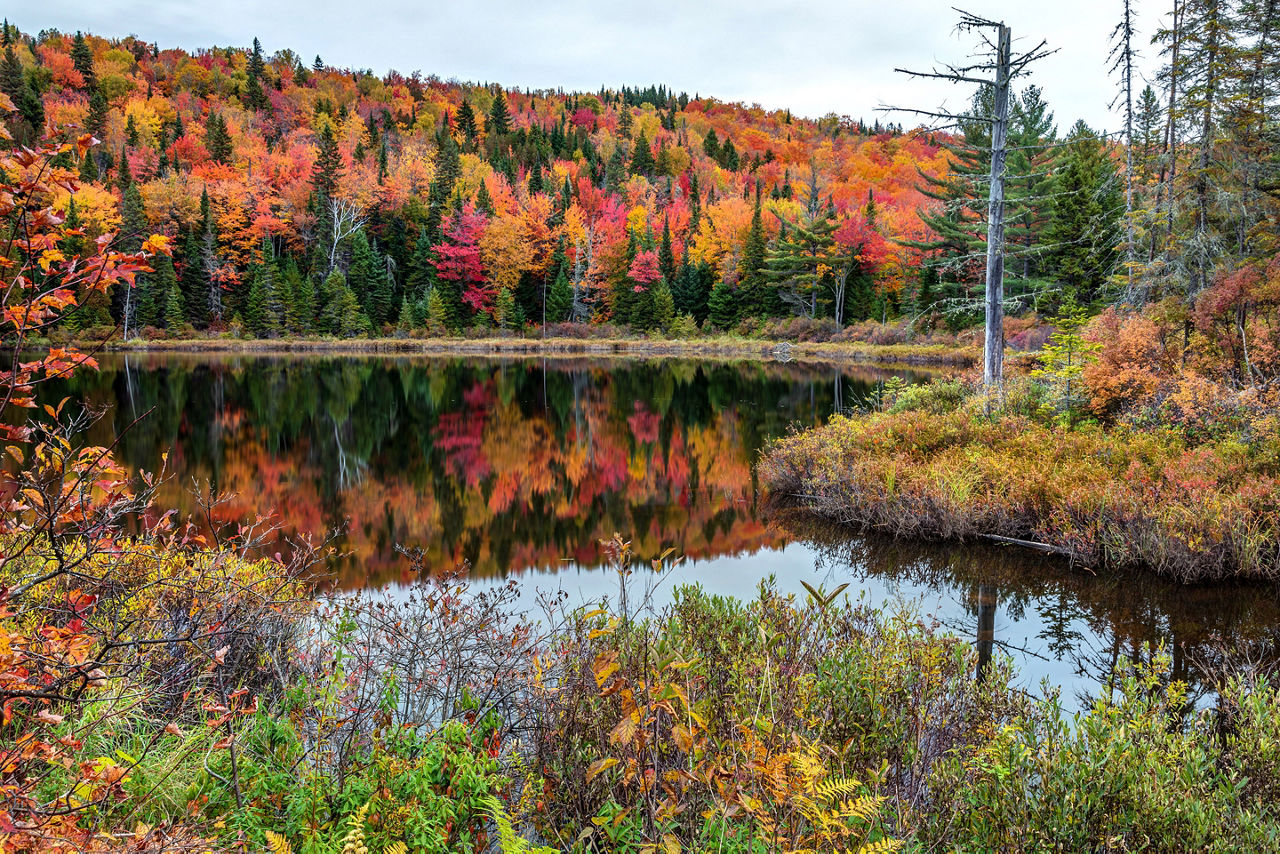 Canada Fall Foliage Beautiful Lake