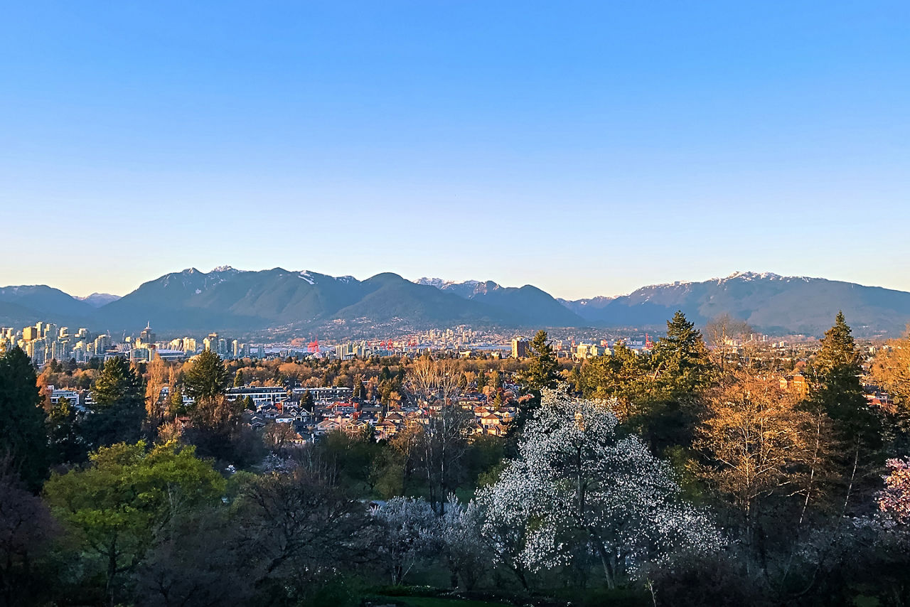 Queen Elizabeth Park in spring during a sunset. Vancouver.