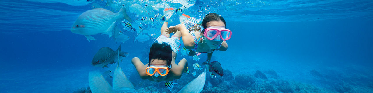 Kids Snorkelling with Fish