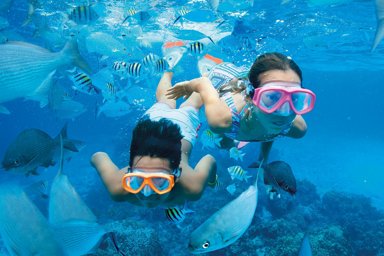Kids Snorkeling with Fish Blue Water 