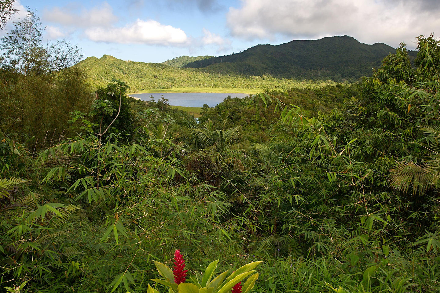 Lush rainforest and tranquil Grand Etang Lake in Grenada.