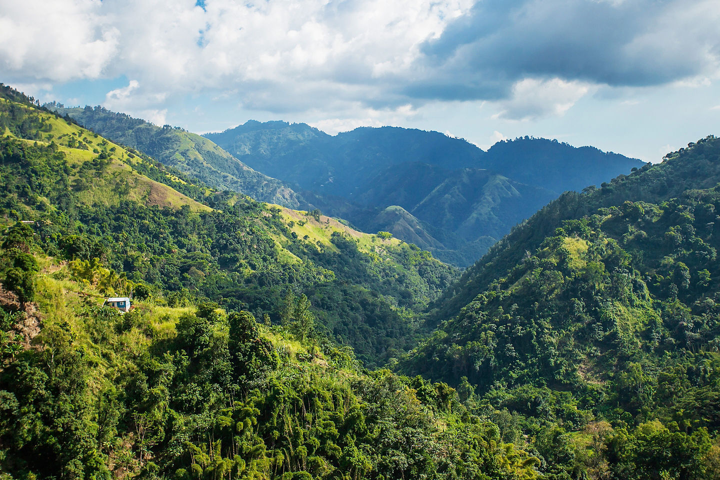 Blue Mountains rise above lush rainforest stretching toward Jamaica’s distant coast. - Falmouth, Jamaica