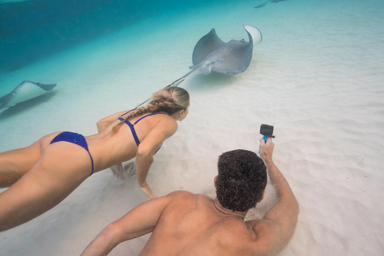 Couple Swimming with Stingrays