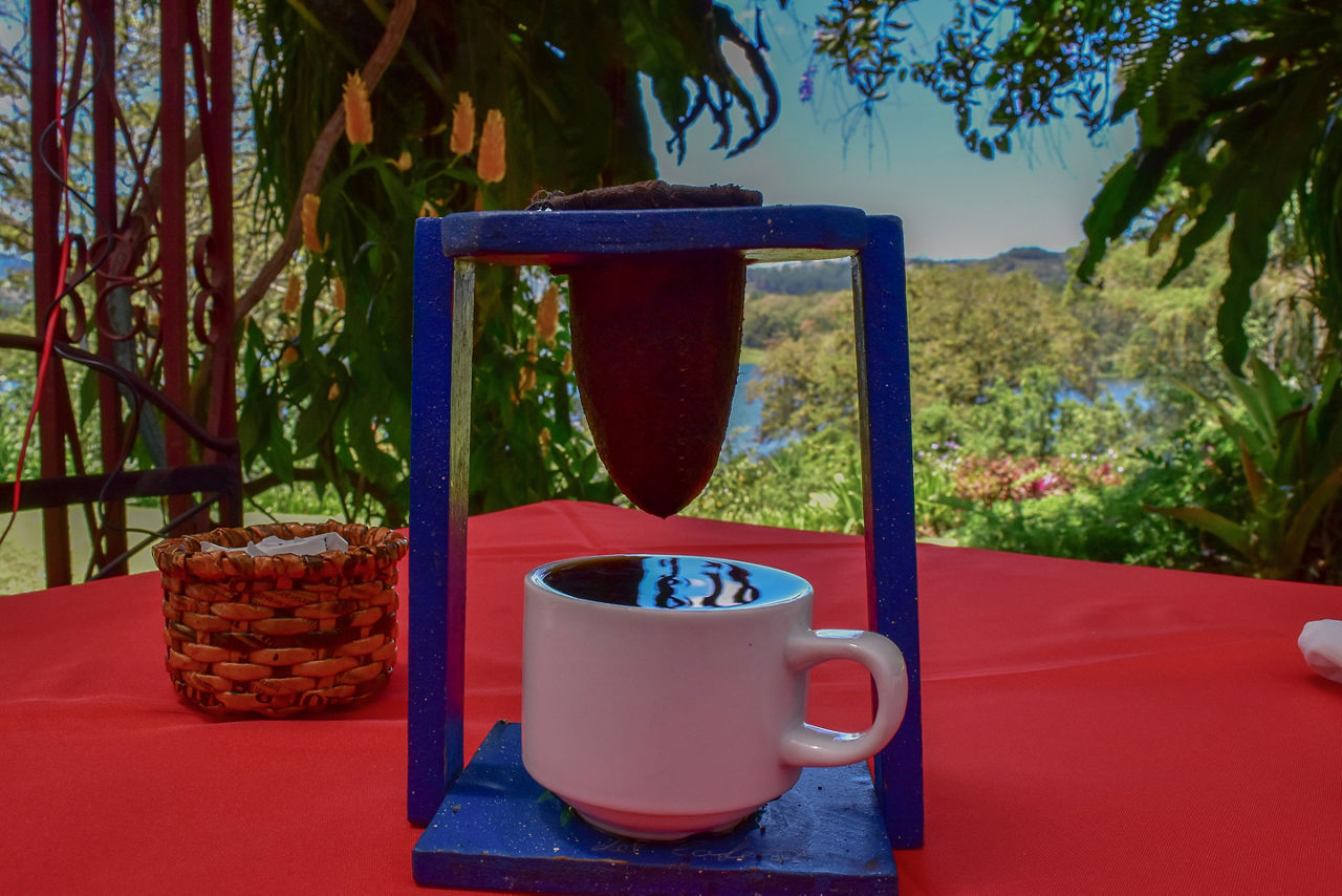 Natural drip coffee machine with forest in background. Costa Rica.