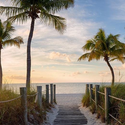 Florida Beach Palm Trees Sunset 