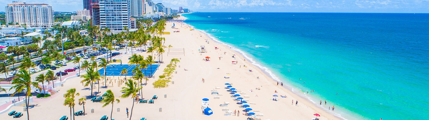 Palm trees lining sunny Fort Lauderdale Beach with blue ocean sky. - Fort Lauderdale, Florida