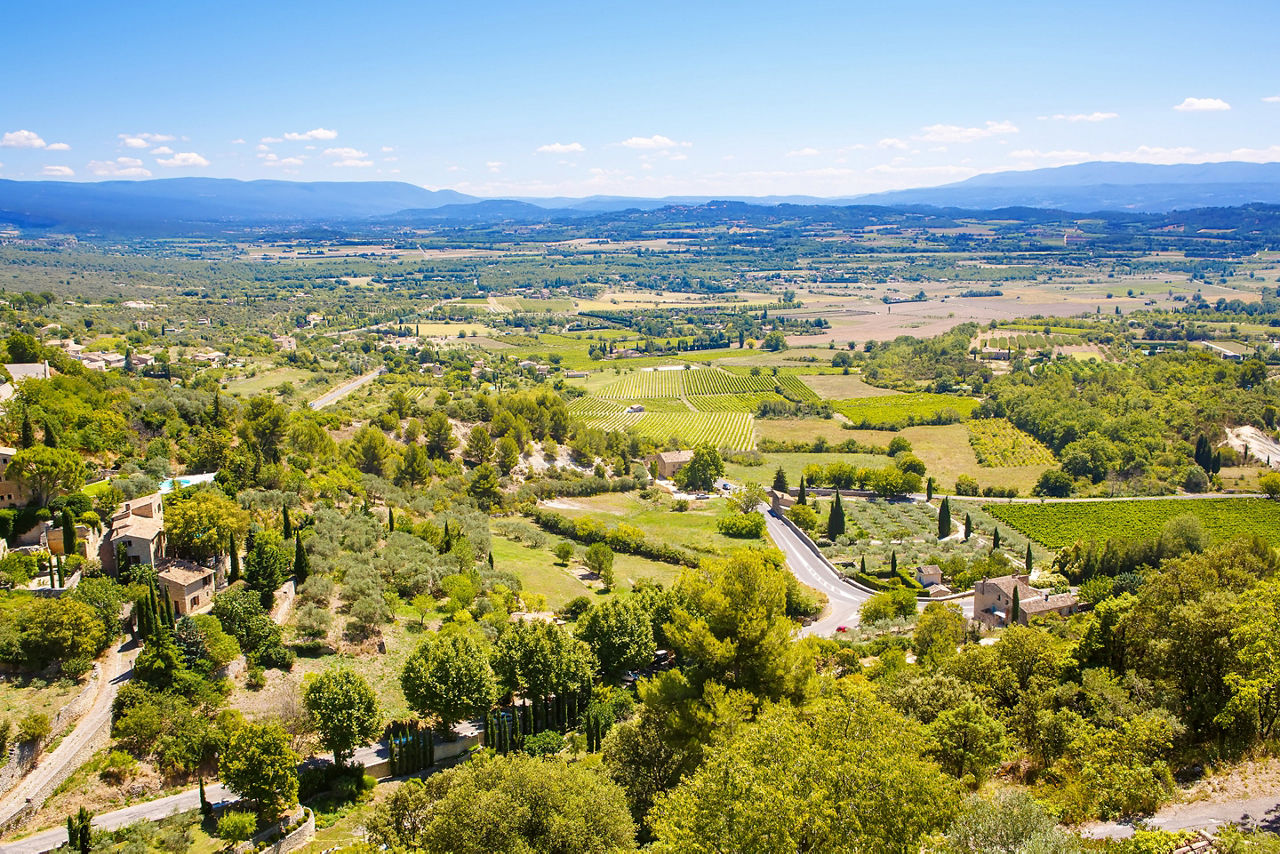 Aerial view of the Southern France olive oil region. Provence, France.