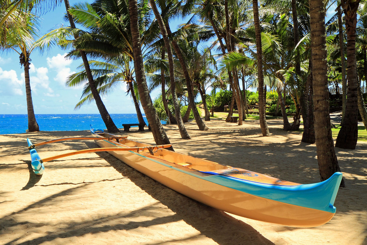 Outrigger canoe on a sandy beach with palm trees. Hawaii.