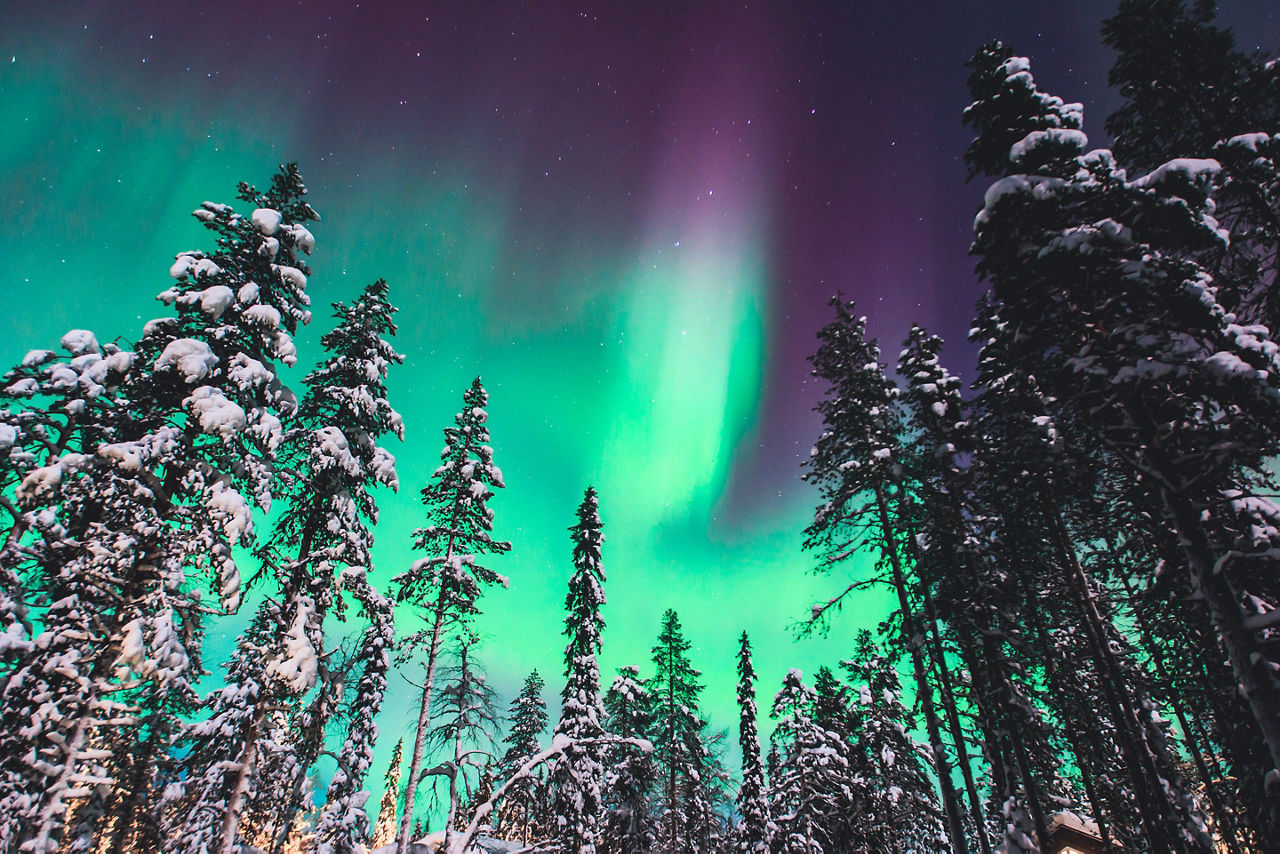Beautiful picture of massive multicolored green vibrant Aurora Borealis, Aurora Polaris