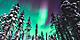 Beautiful picture of massive multicolored green vibrant Aurora Borealis, Aurora Polaris