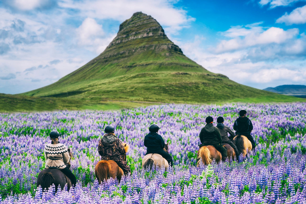 Iceland is an unbelievable wonderland where scenes like this one of Kirkjufell mountain abound.