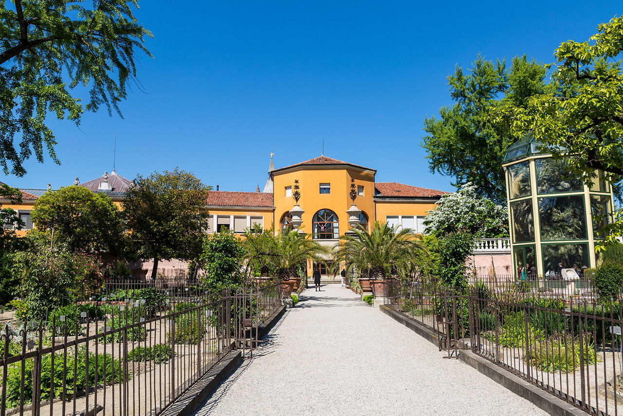 Padua Botanical Garden is the oldest botanical garden in the world. Italy.