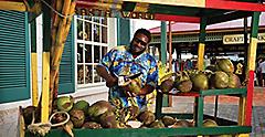 Jamaica Local Market Coconut