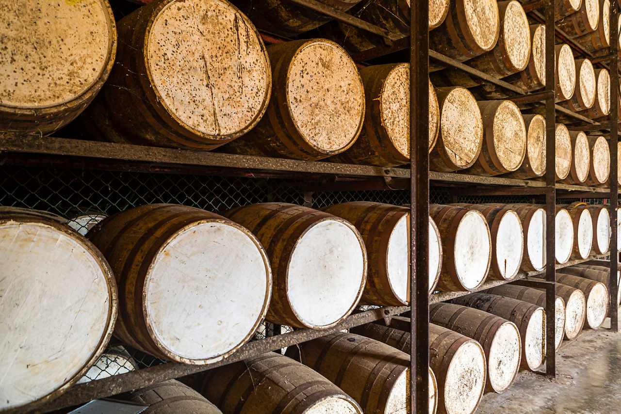 Shelves Oak Rum Barrels in Storage