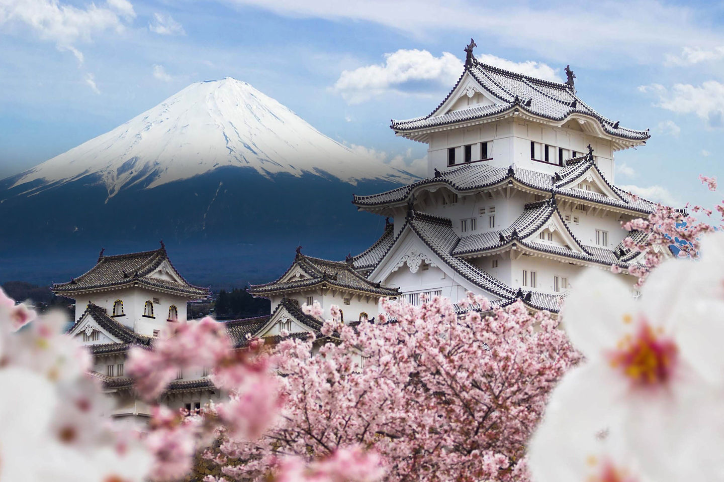 A Mt. Fuji’s lakeside village with blossoms and the snow capped mountain.