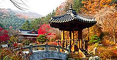 Autumn time in an Asian garden. Japan.