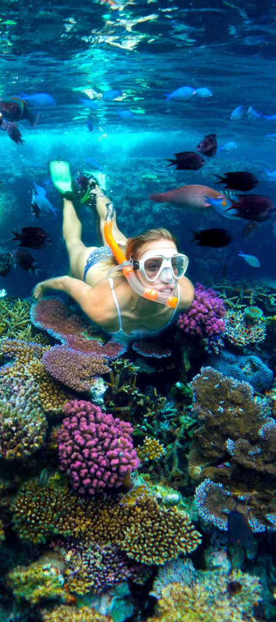 Woman Snokerling Underwater in Lelepa