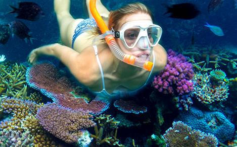 Woman Snokerling Underwater in Lelepa