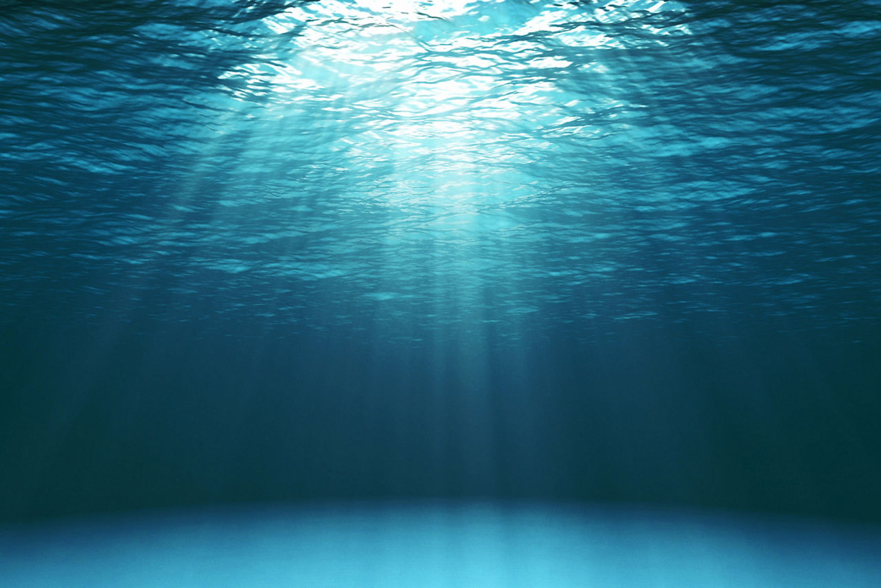 Perfect Day Lelepa Underwater Ocean 