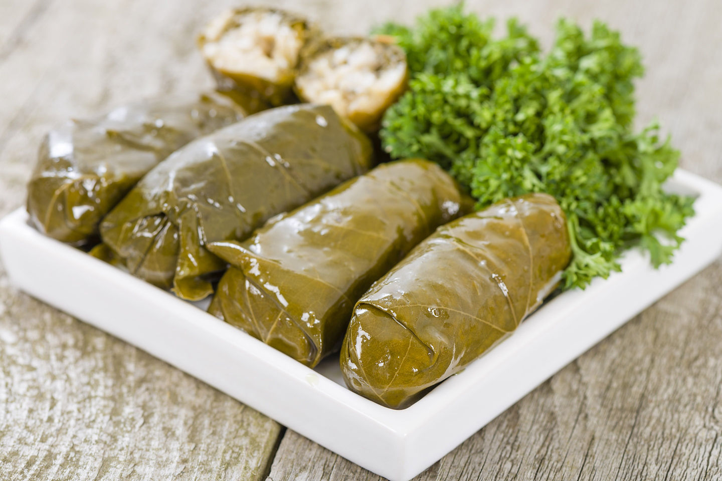 Stuffed Mediterranean grape leaves arranged neatly on a white plate. - Santorini, Greece