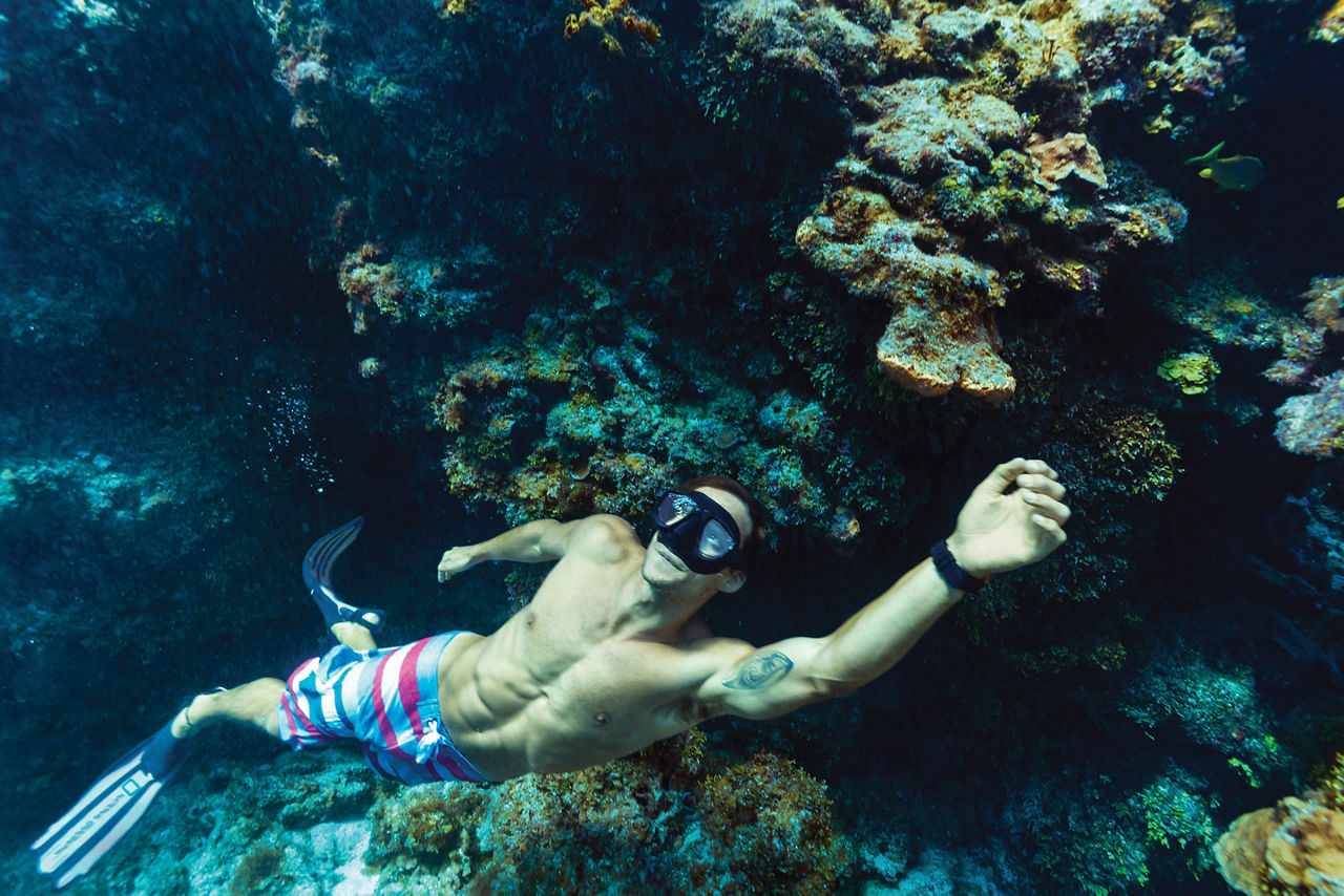 Mexico Cozumel Snorkeling Underwater Reefs