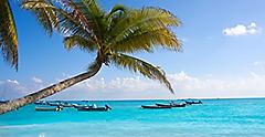 Palm trees and boats at Playa del Carmen beach. Riviera Maya.