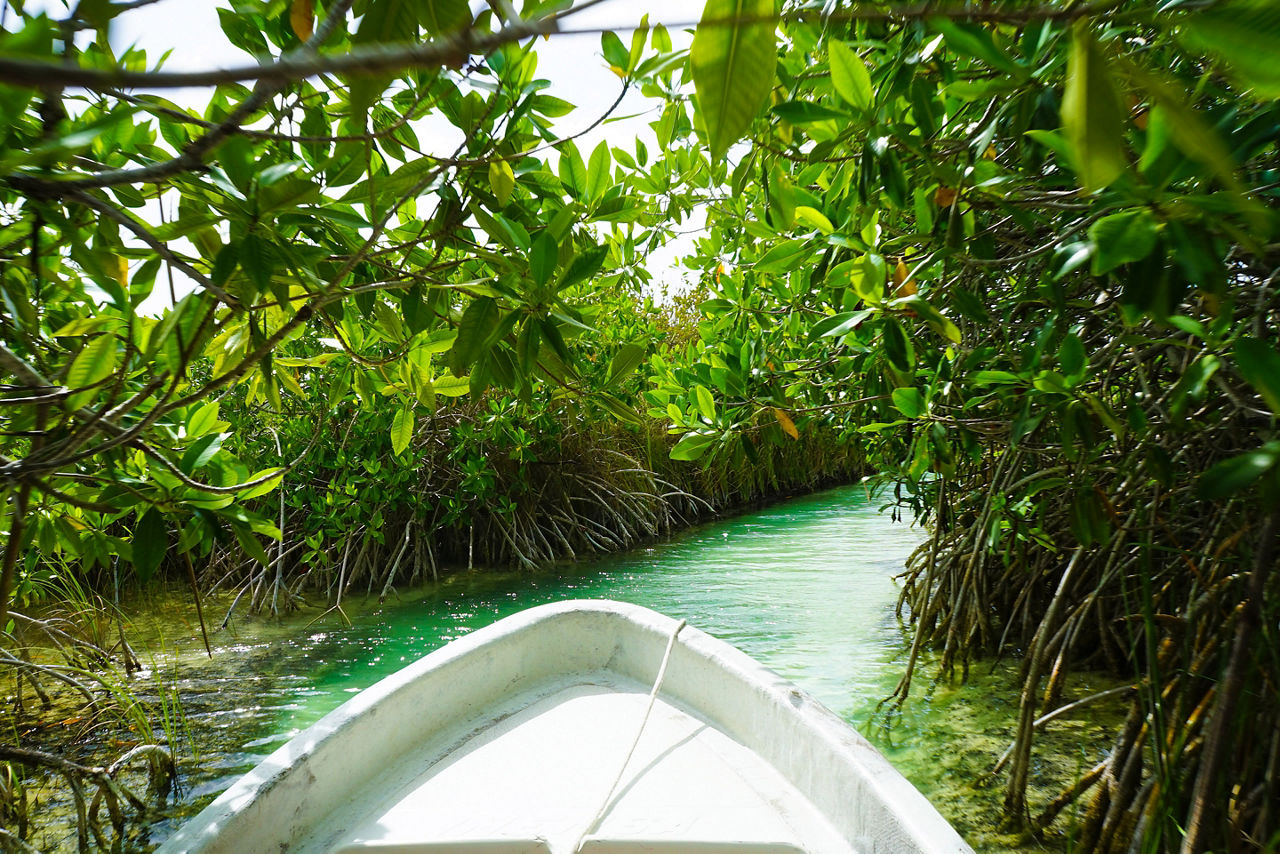 Boat traveling through the Sian Ka'an Biosphere Reserve. Tulum, Mexico.
