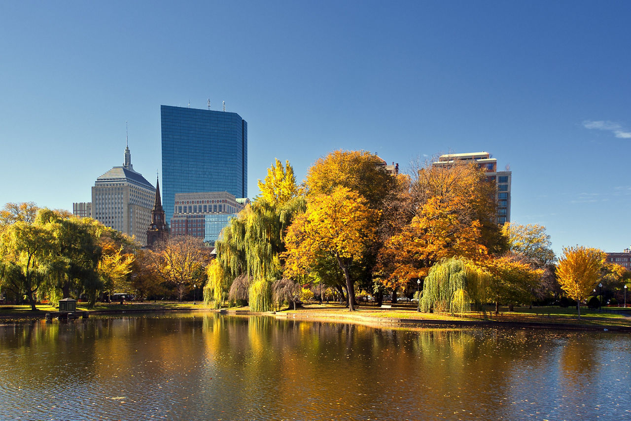 Boston Commons Fall Daytime Foliage