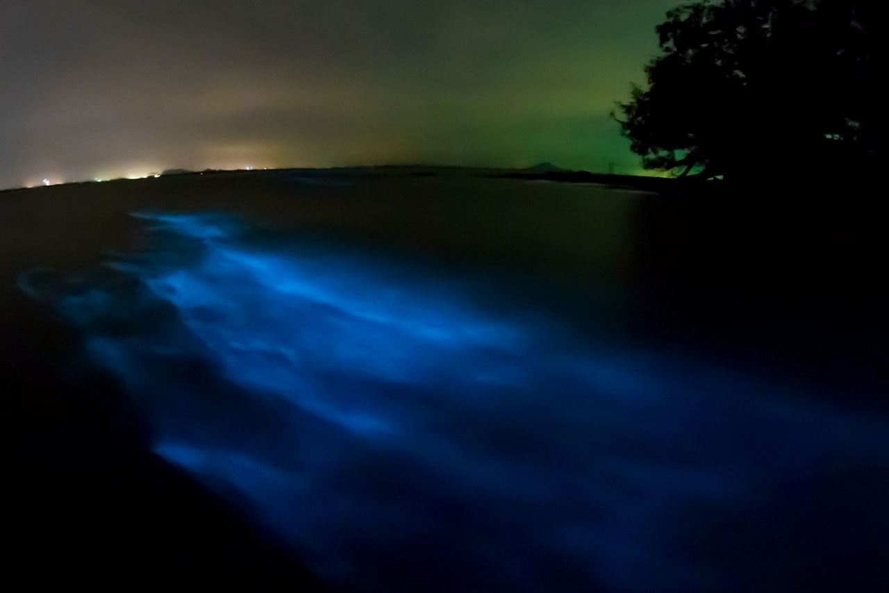 Puerto Rico Bioluminescent Bay Night Time