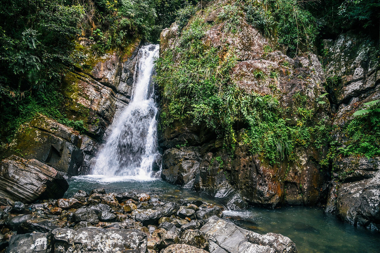 Puerto Rico El Yunque La Mina Waterfall