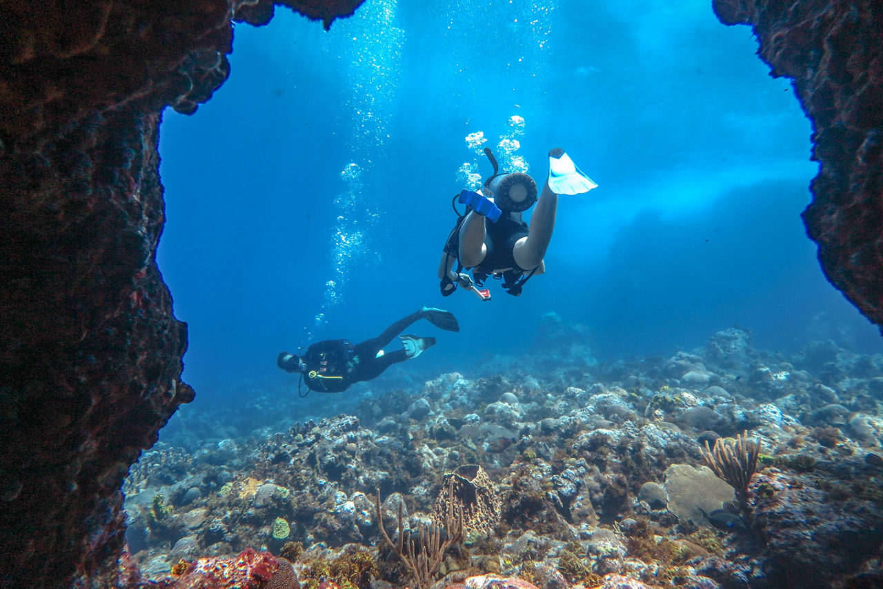 Puerto Rico Scuba Diving Coral Reef