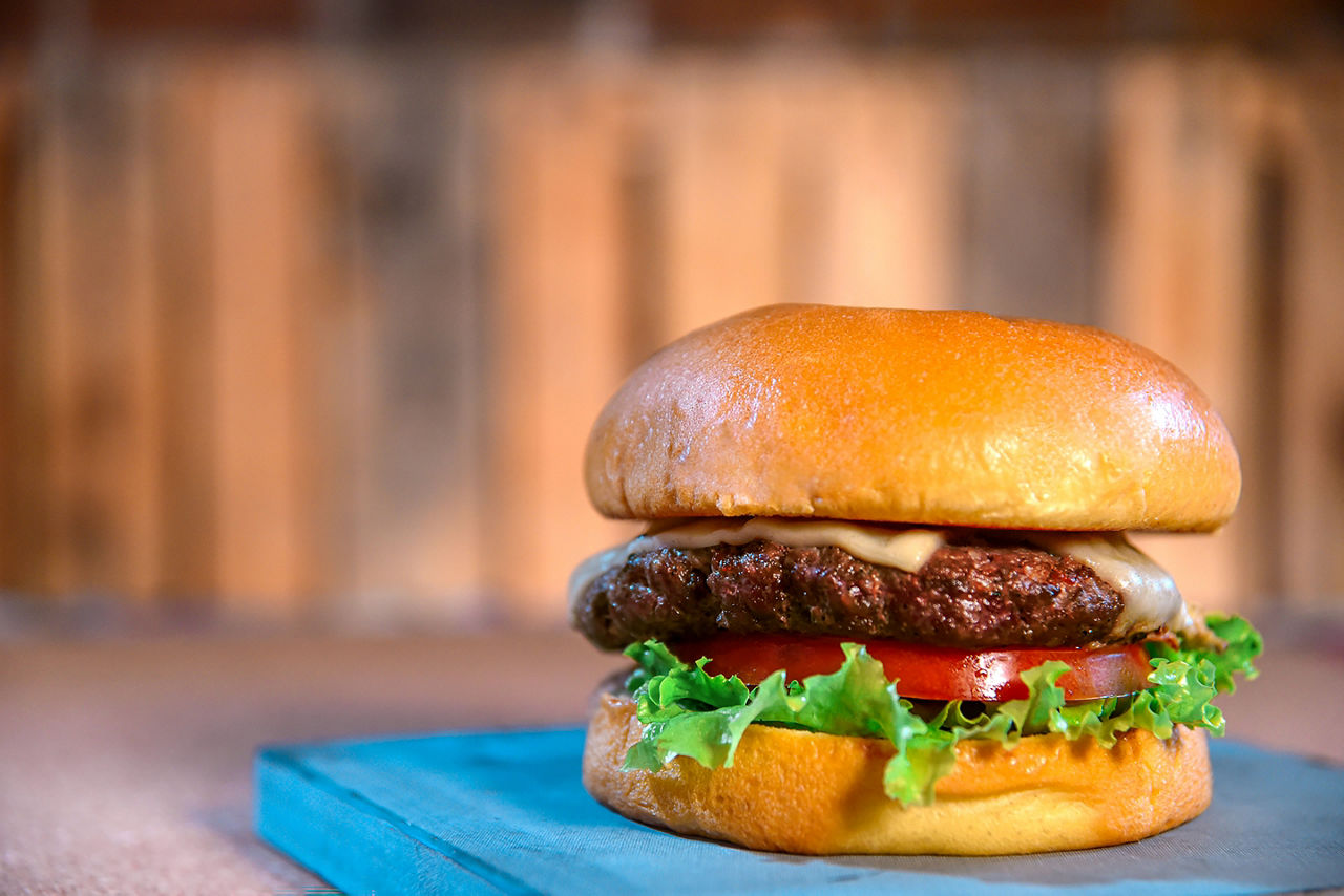 RBC Paradise Island, grilled cheese burger on top of blue plate