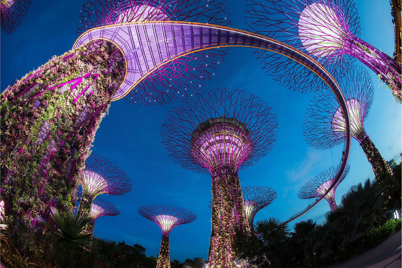 Singapore, Garden by the Bay at Night