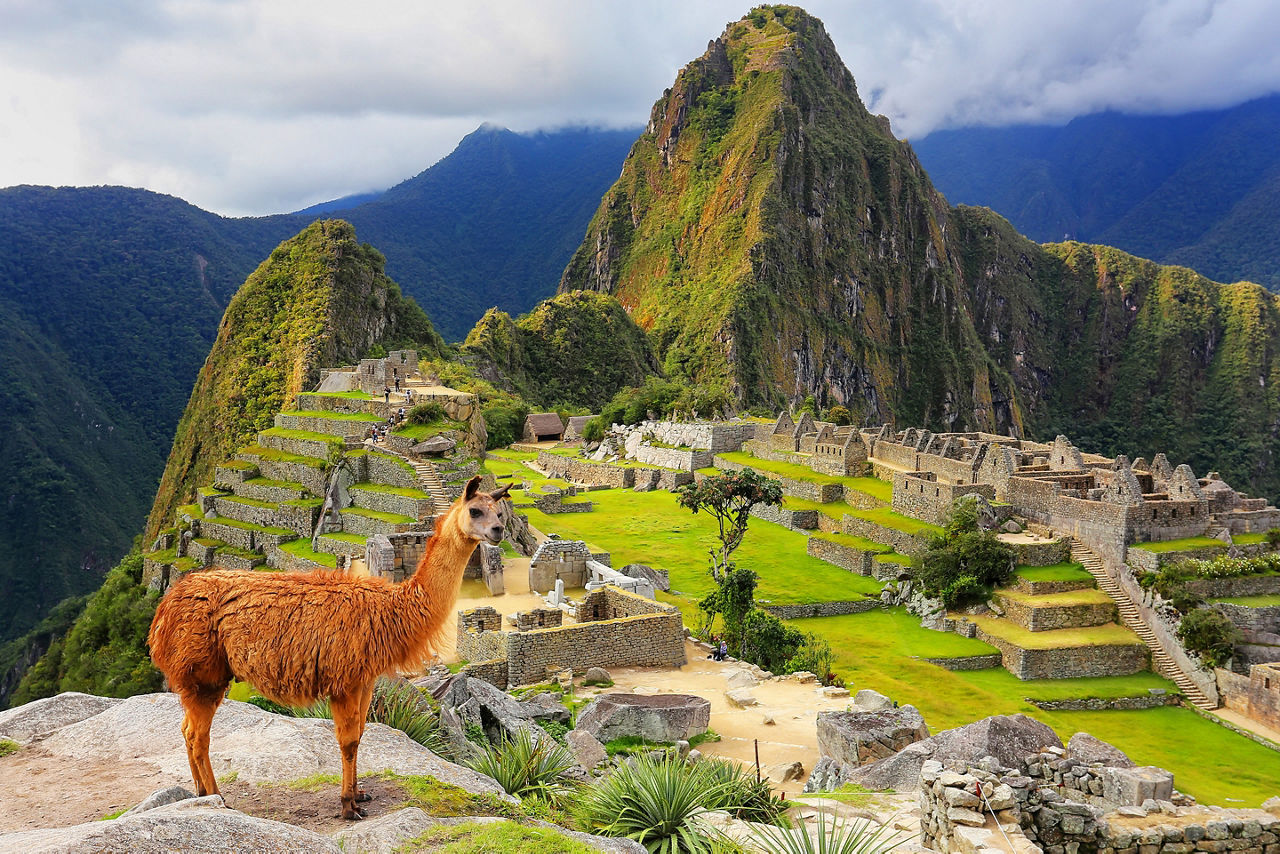 Machu Picchu Hiking with Llama in Peru