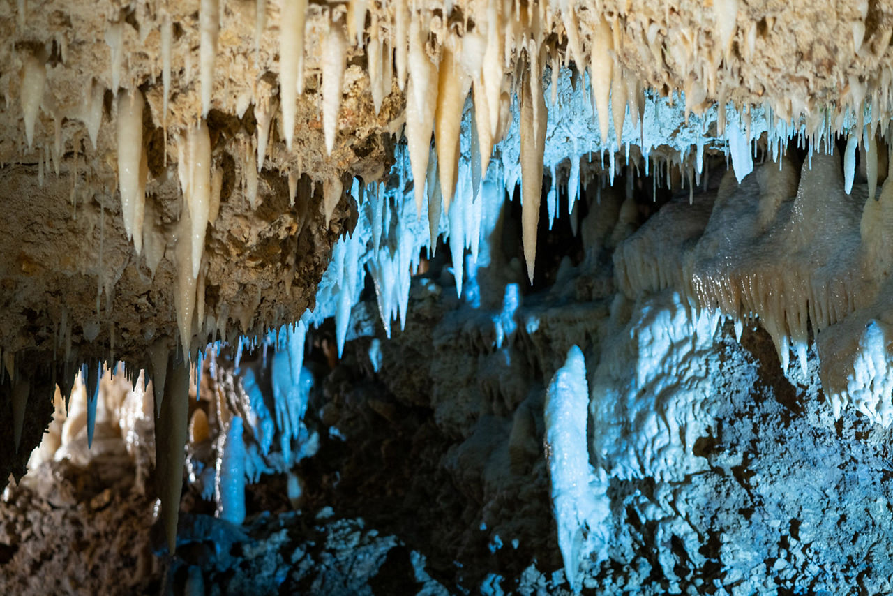 Barbados Limestone Caves Shore Excursion