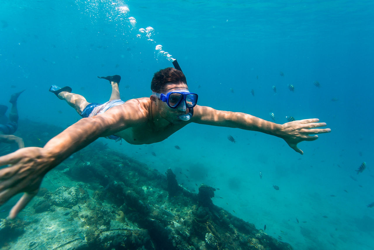 Barbados Man Snorkeling Underwater 