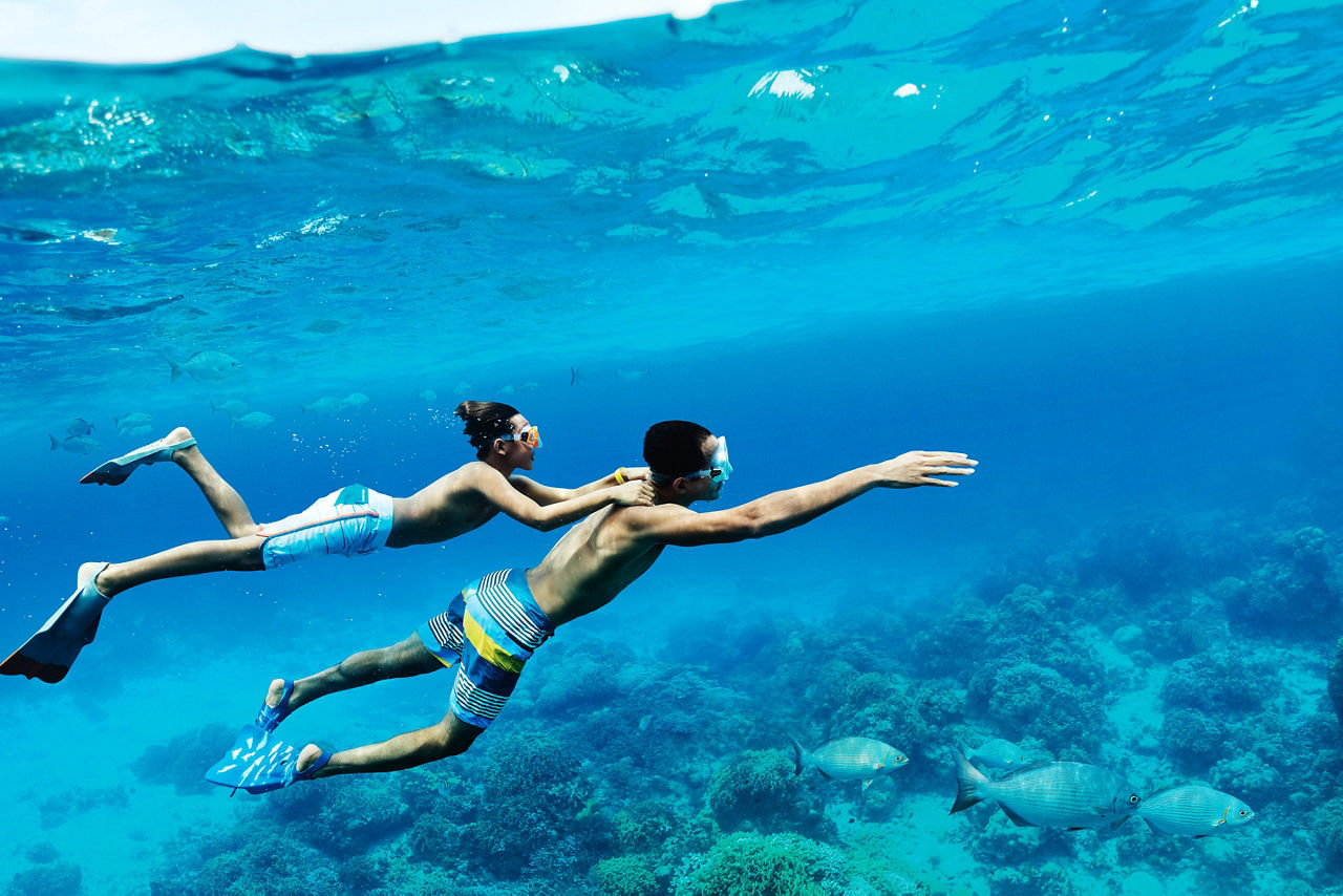 Caribbean Snorkling by Coral Reef